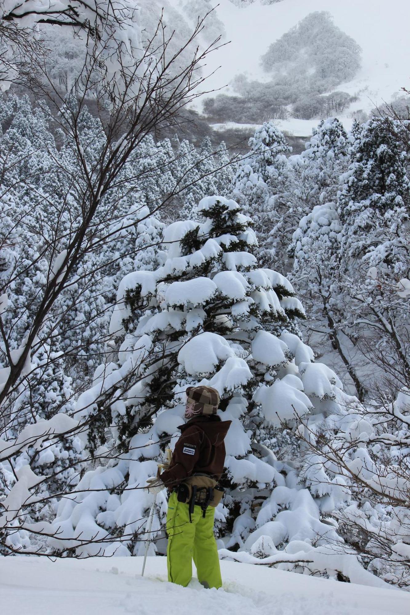 Shukubo Kansho-In Temple Sanrakuso Daisen  Экстерьер фото