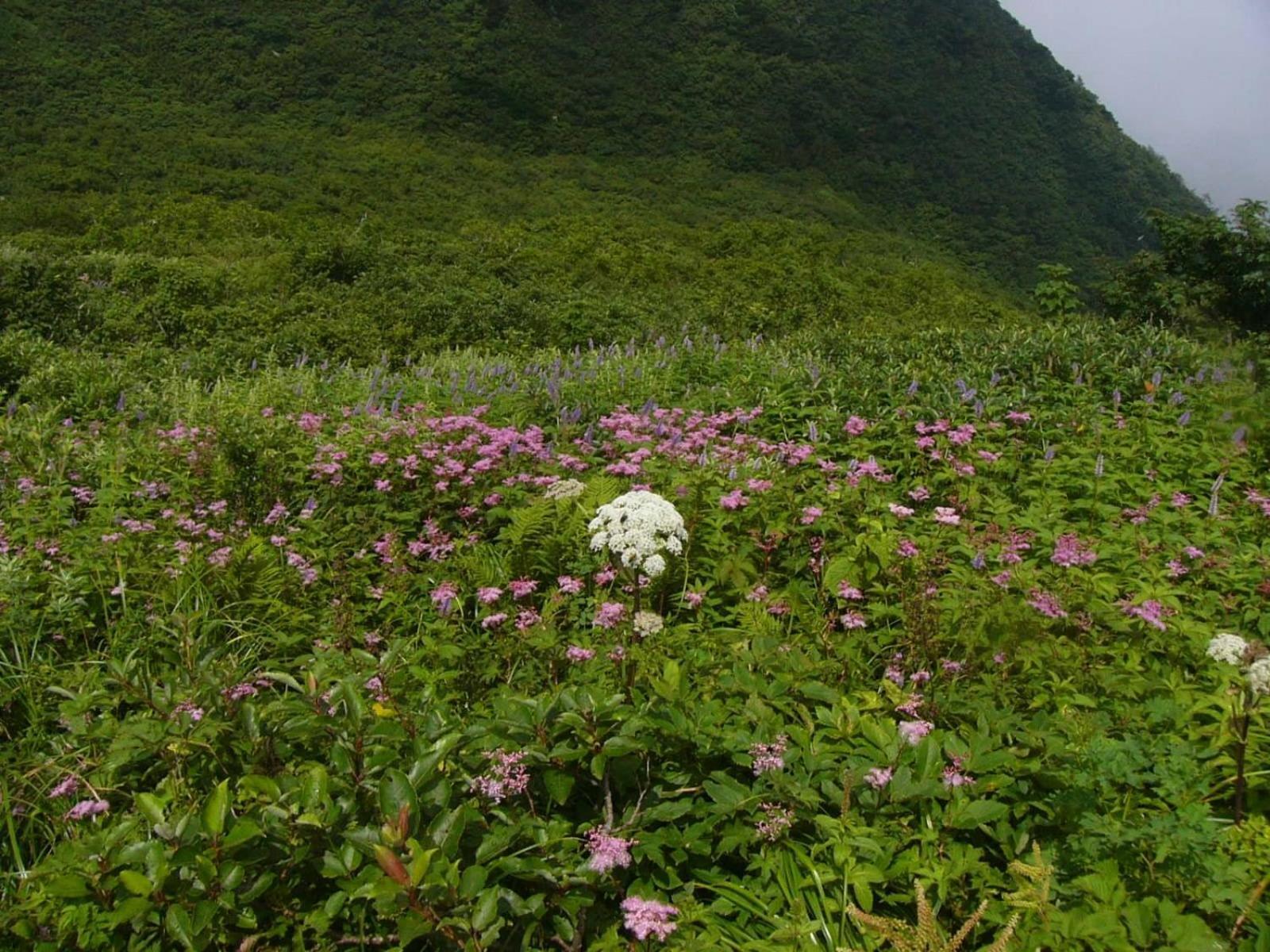 Shukubo Kansho-In Temple Sanrakuso Daisen  Экстерьер фото